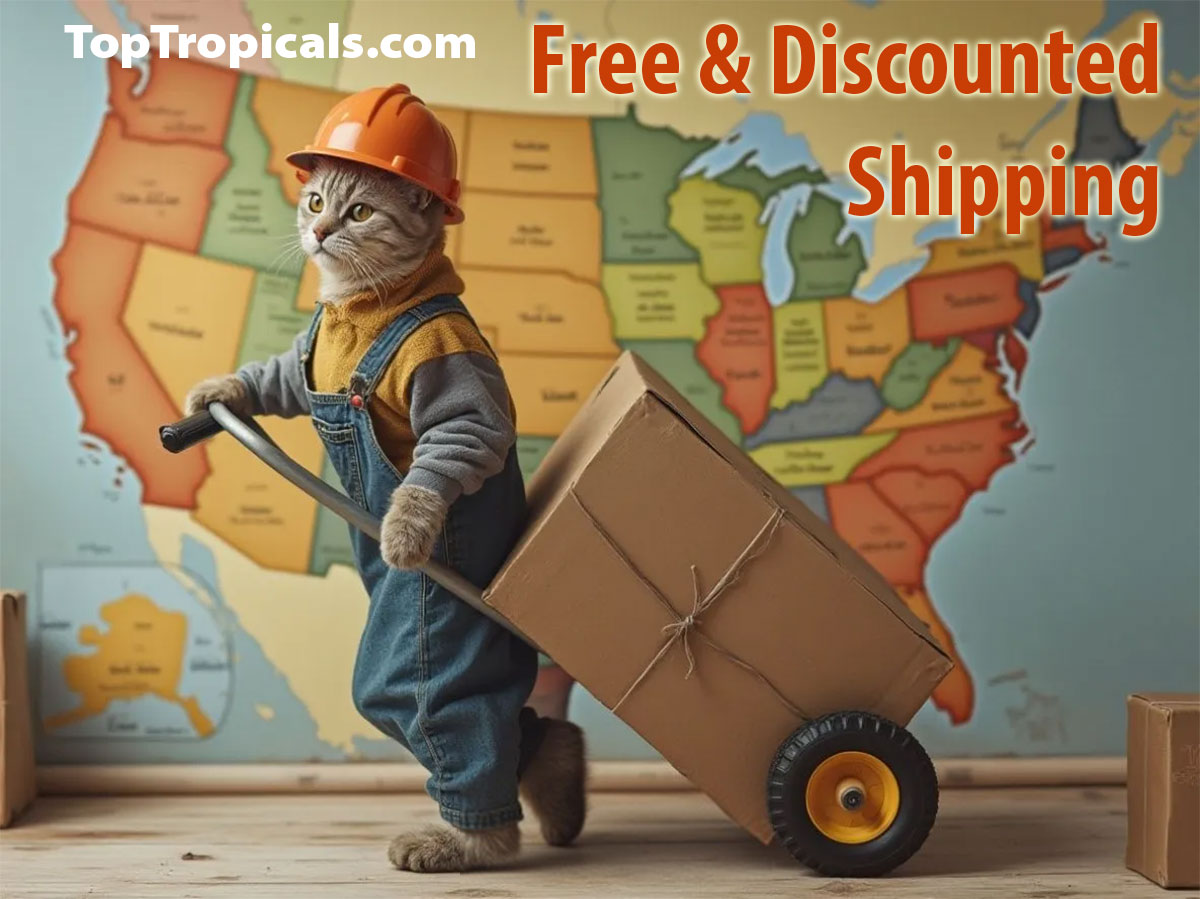 Free and discounted shipping cat with cart and map