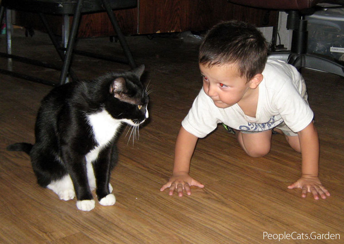 Cat and boy