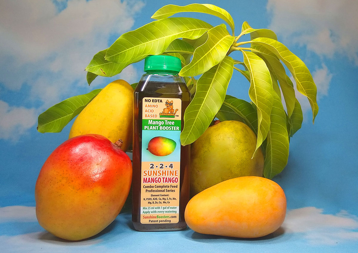 Sunshine Mango Tango liquid fertilizer with mango fruit