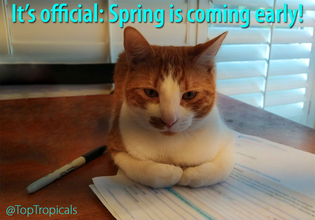 2024 Early Spring is official - Cat