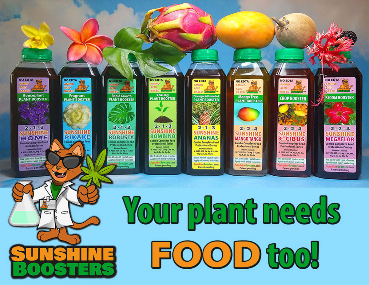 your plant needs food - sunshine boosters