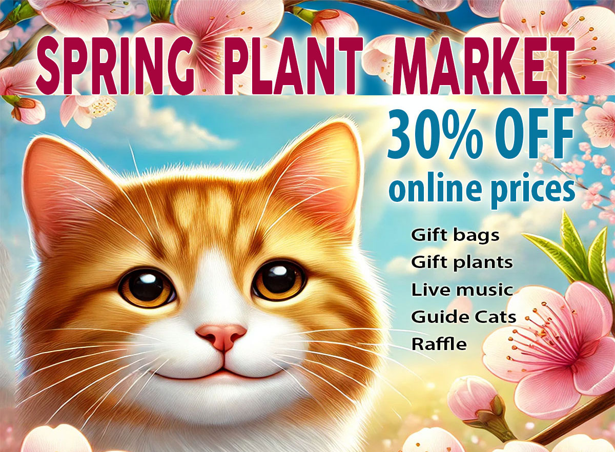 March 1, 2025 - SATURDAY - Spring Plant Market