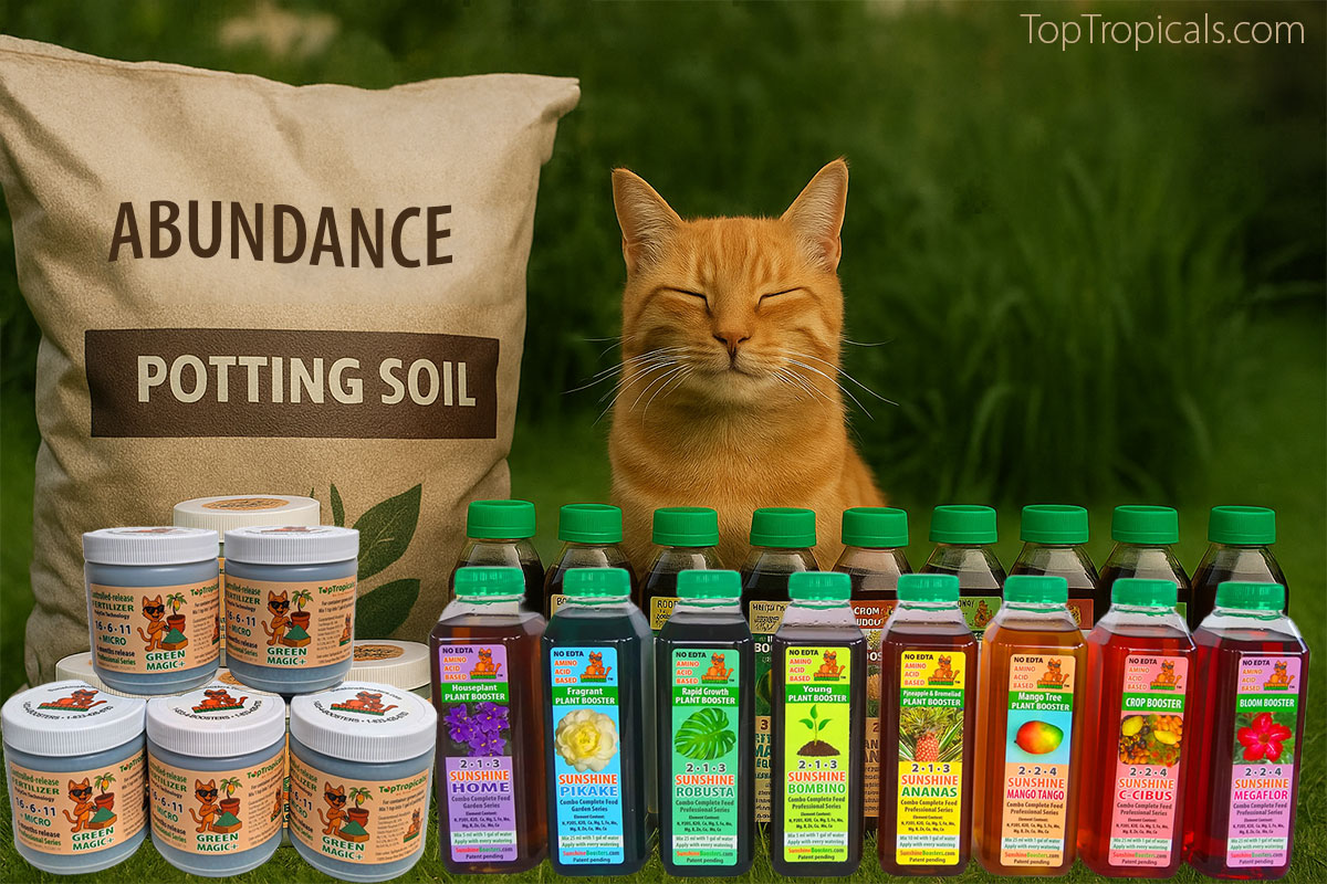 Orange cat with garden supplies and fertilizers