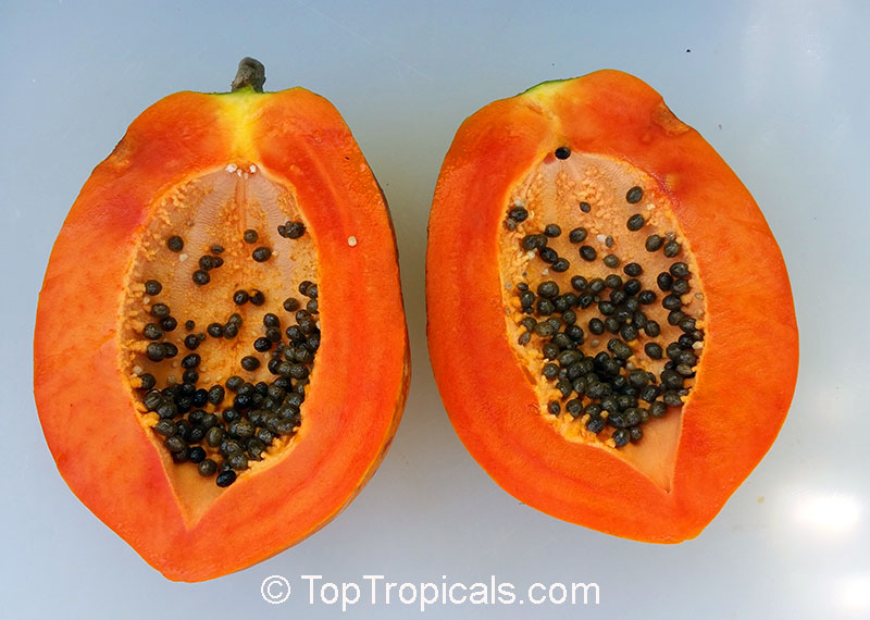 Papaya fruit with seeds