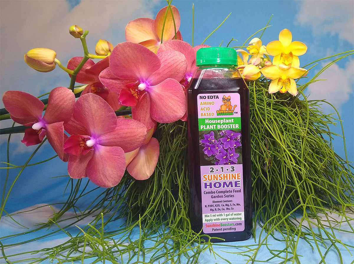 Sunshine Home Booster for indoor plants