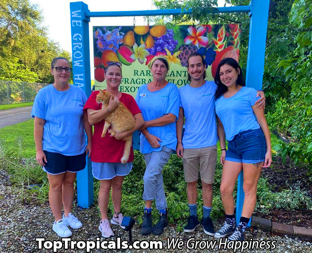 TopTropicals.com team