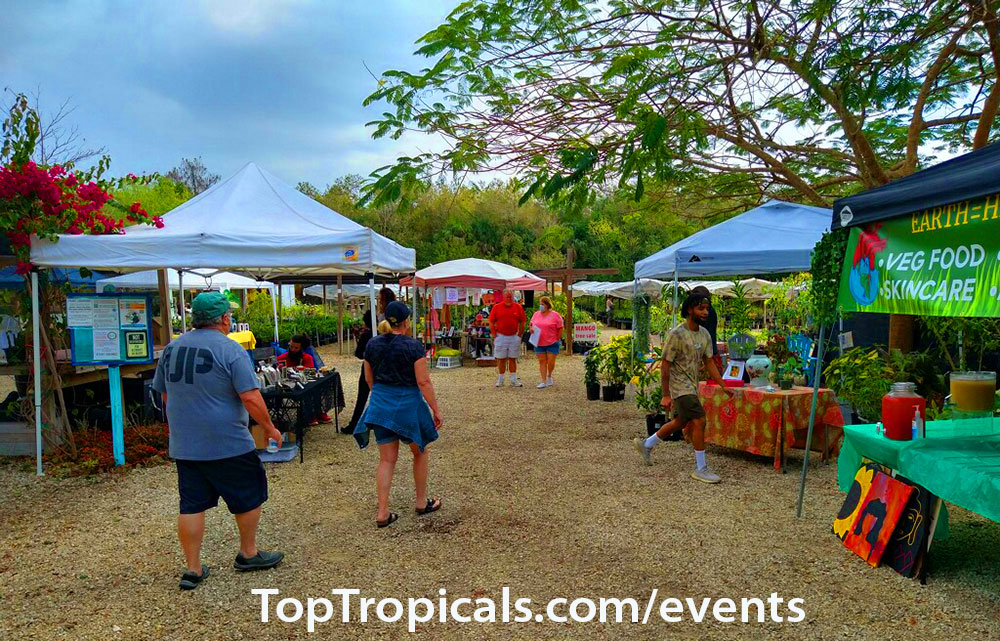 TopTropicals.com