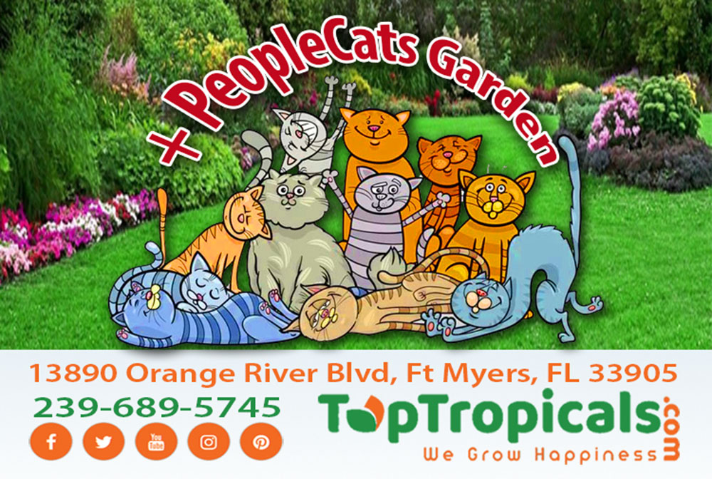 October Fall Festival and PeopleCats Garden at TopTropicals, October 8, 2022