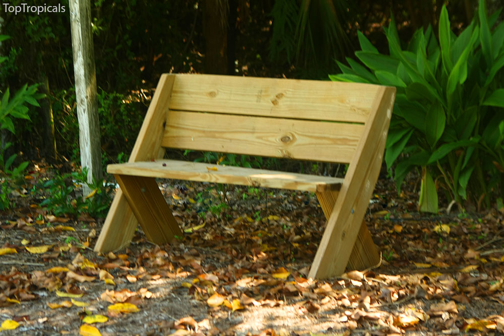 PeopleCats Garden - garden bench