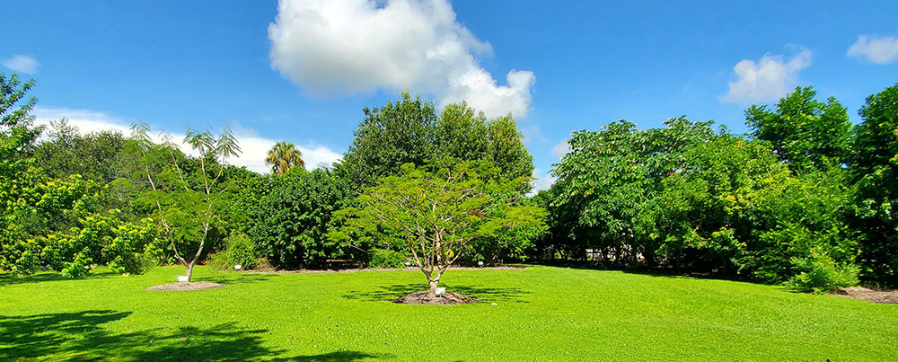 PeopleCats Botanical Garden