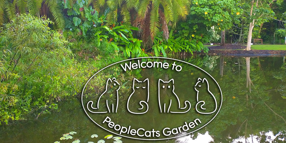 PeopleCats Garden and pond