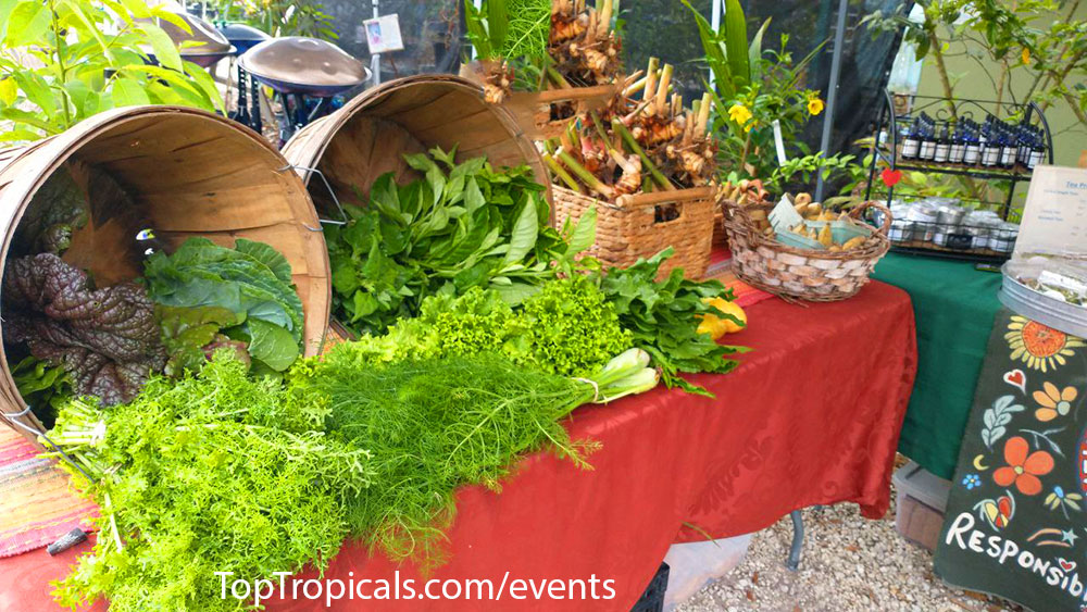 Top Tropicals Event