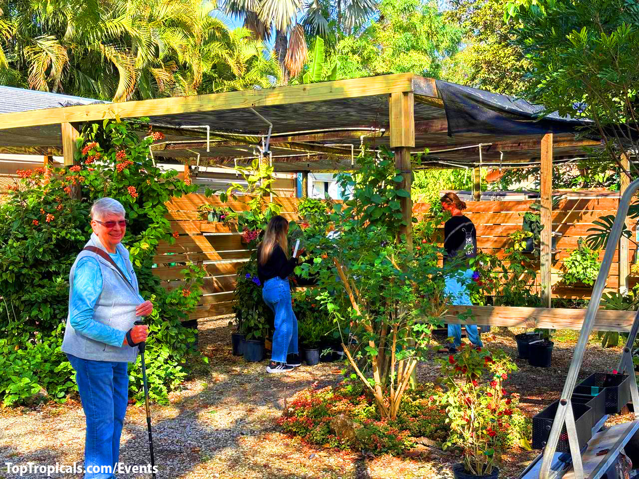 Holiday Plant Market mementos