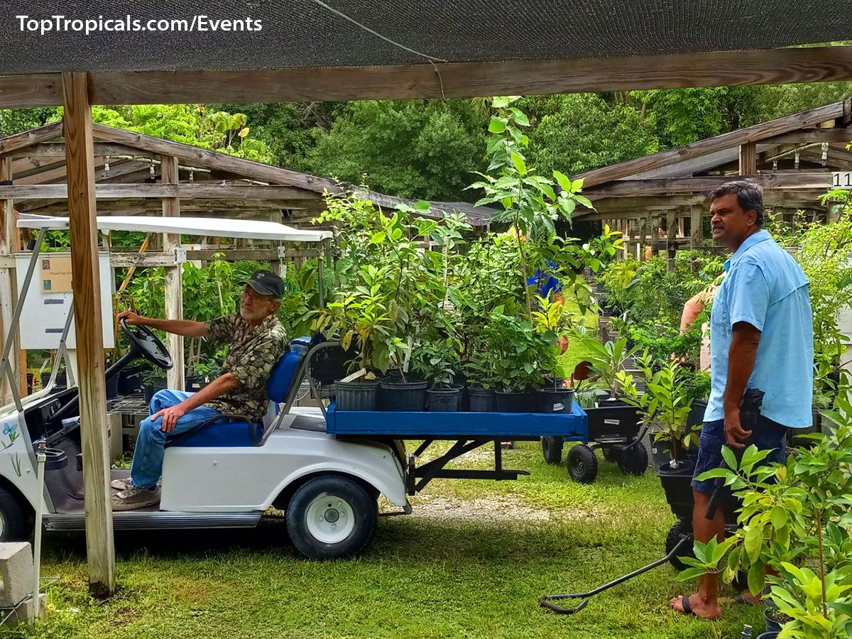 Top Tropicals Summer Plant Market Extravaganza