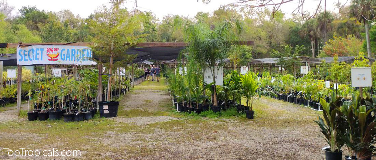 Top Tropicals Plant Festival 