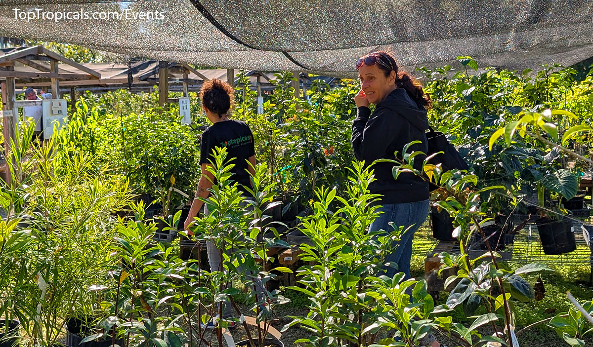 Holiday Plant Market on December  13, 2025