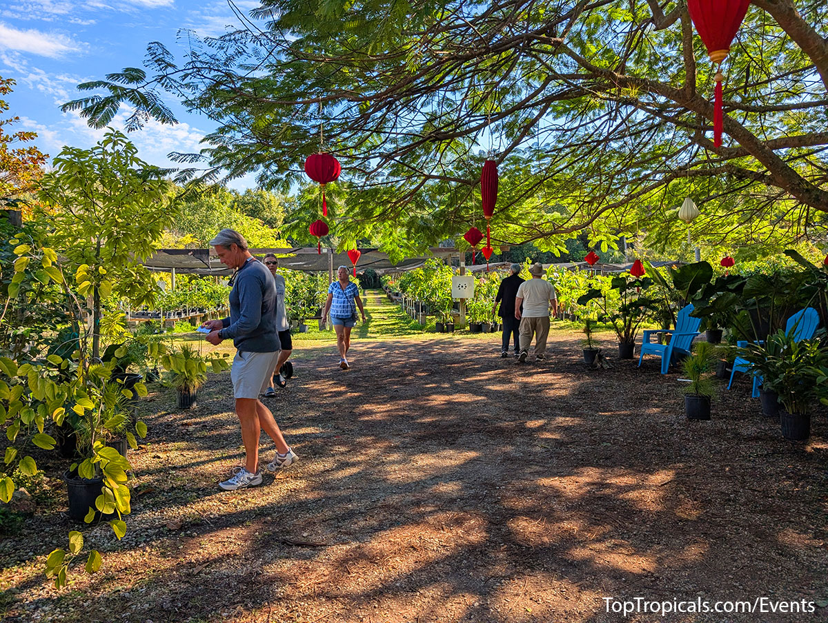 Holiday Plant Market on December  13, 2025