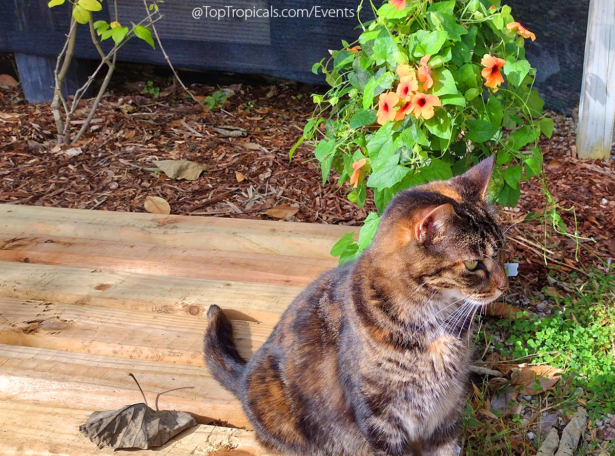 Holiday Plant Market on December  13, 2025