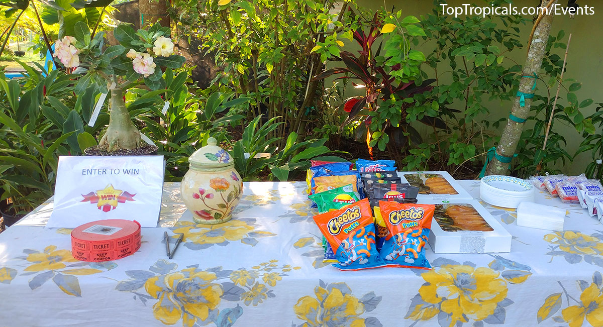 Holiday Plant Market on December  13, 2025