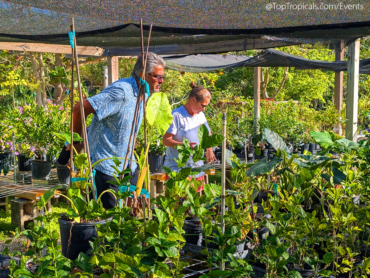 Holiday Plant Market on December  13, 2025