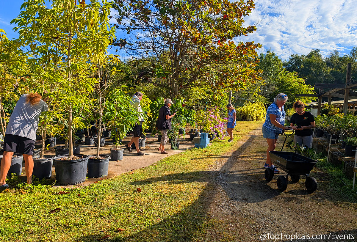 Holiday Plant Market on December  13, 2025
