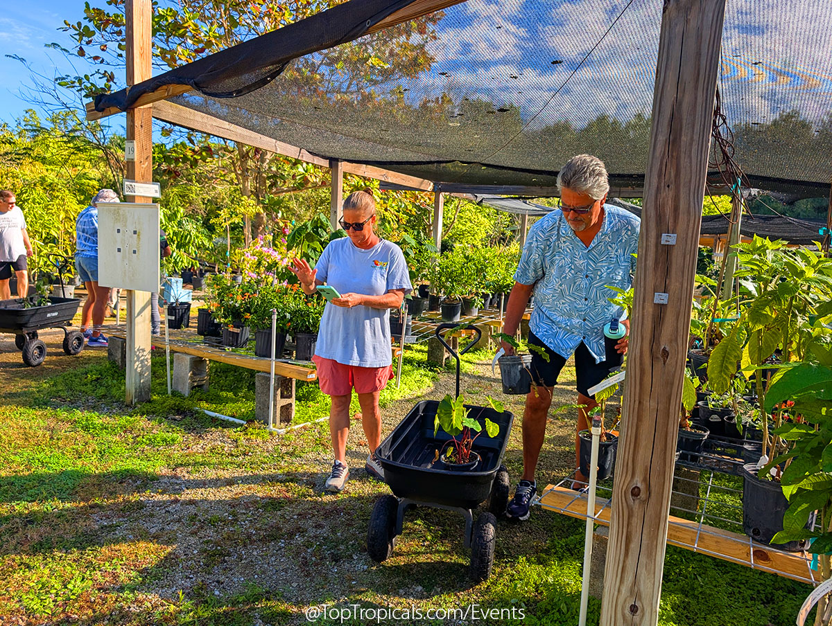 Holiday Plant Market on December  13, 2025