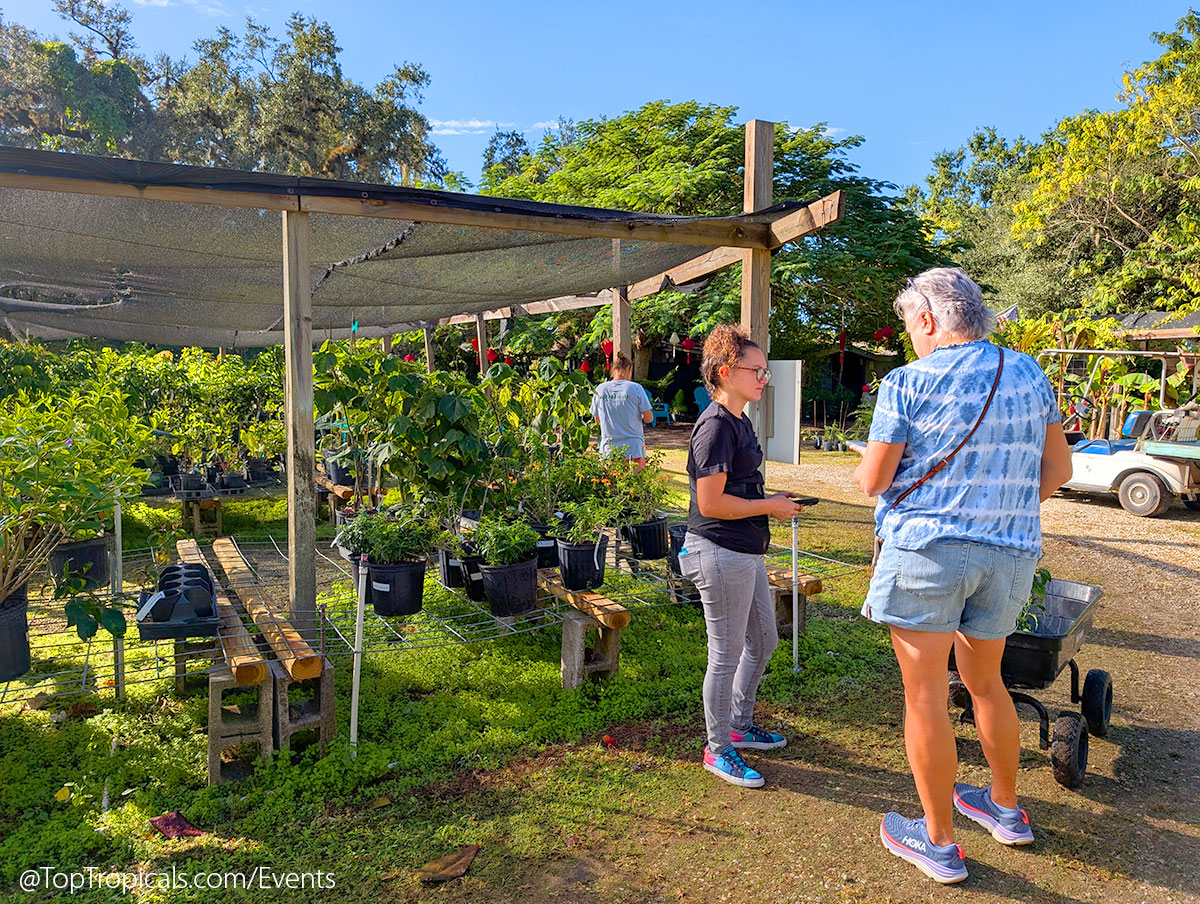 Holiday Plant Market on December  13, 2025