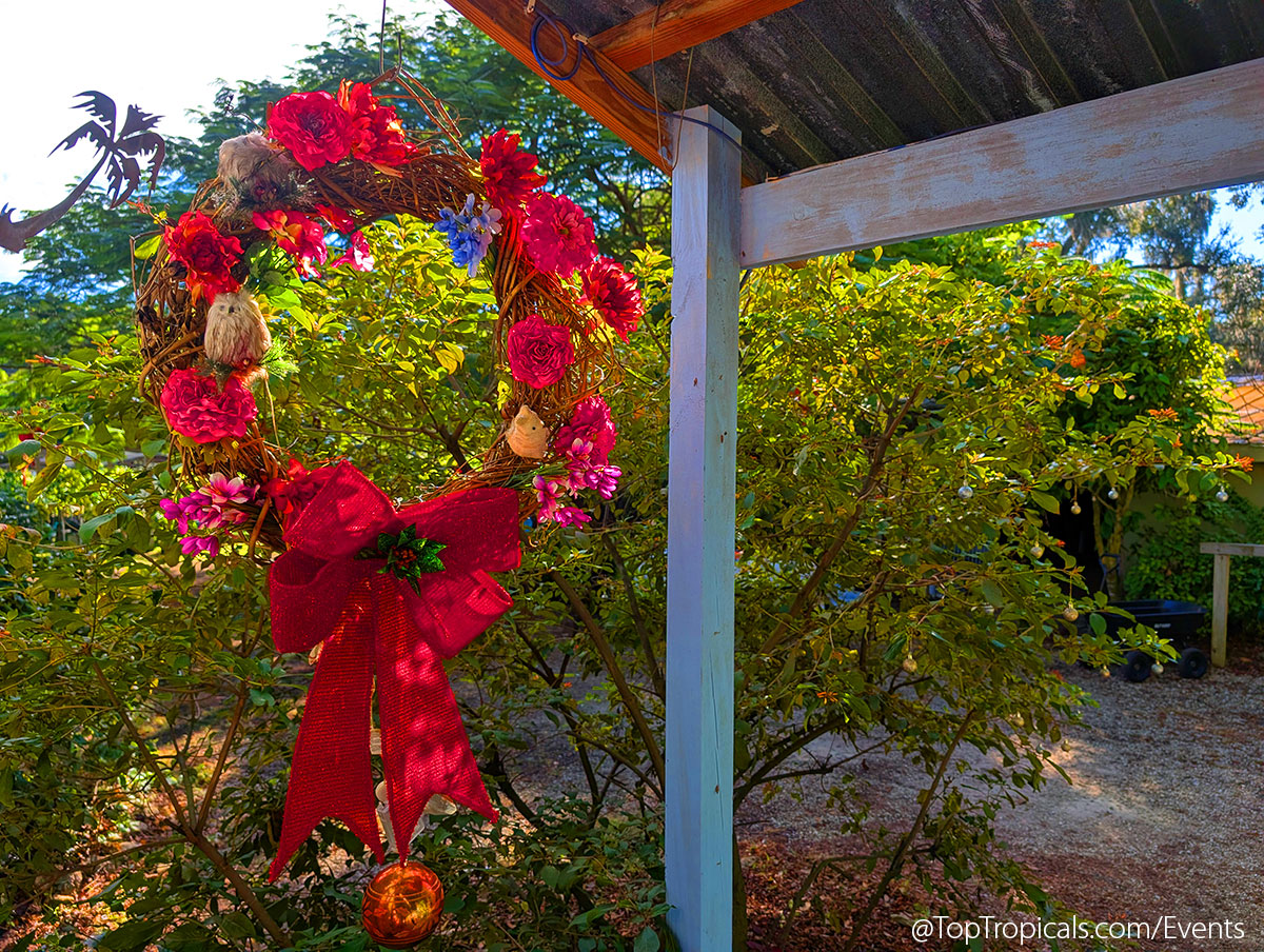 Holiday Plant Market on December  13, 2025