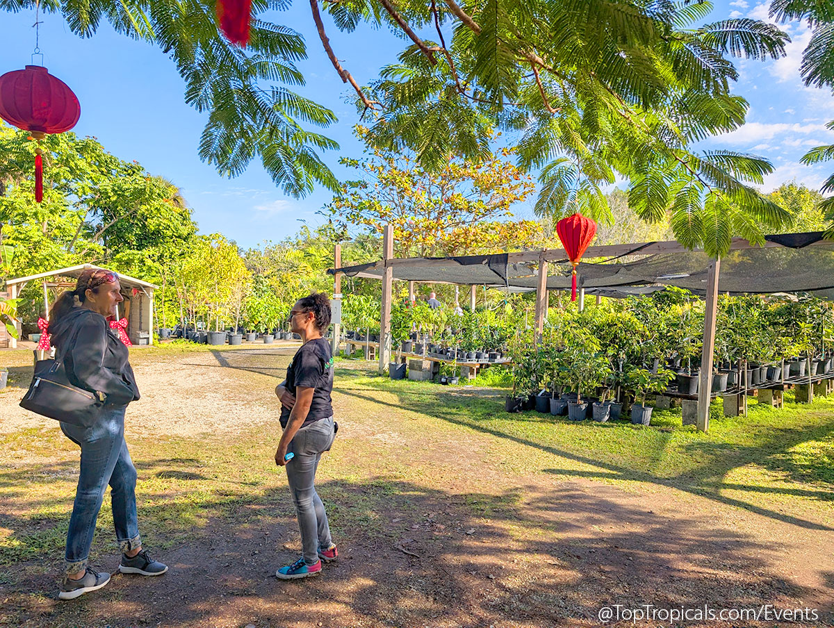 Holiday Plant Market on December  13, 2025