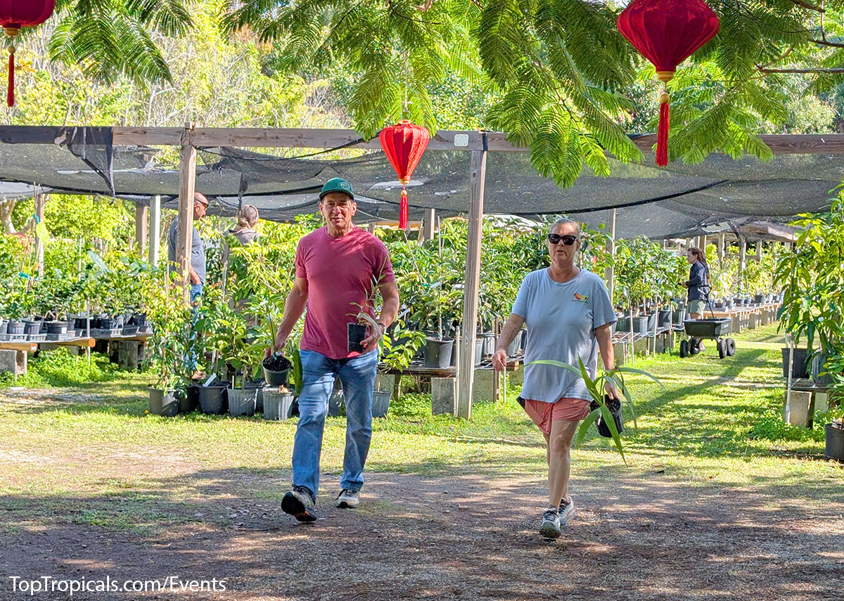 Holiday Plant Market on December  13, 2025