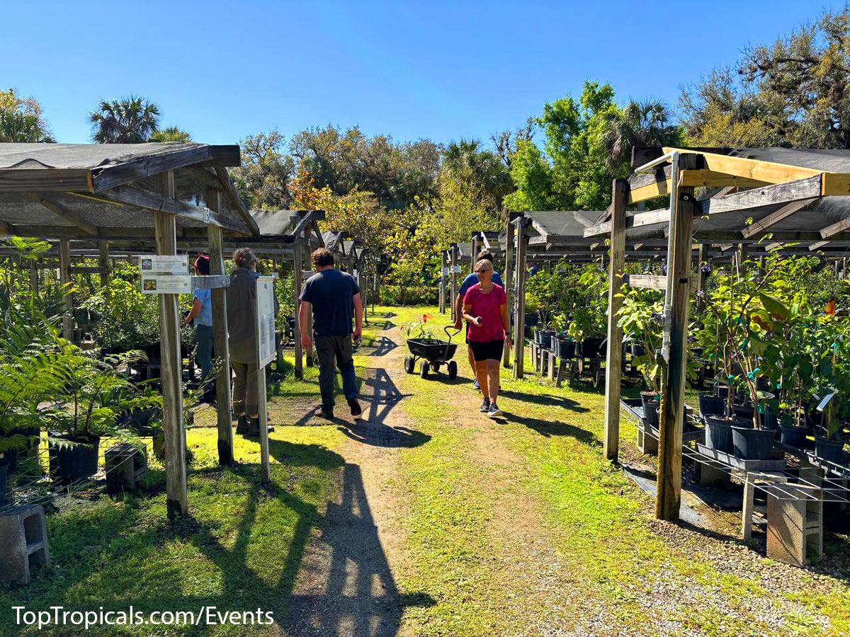 Top Tropicals Spring Plant Market