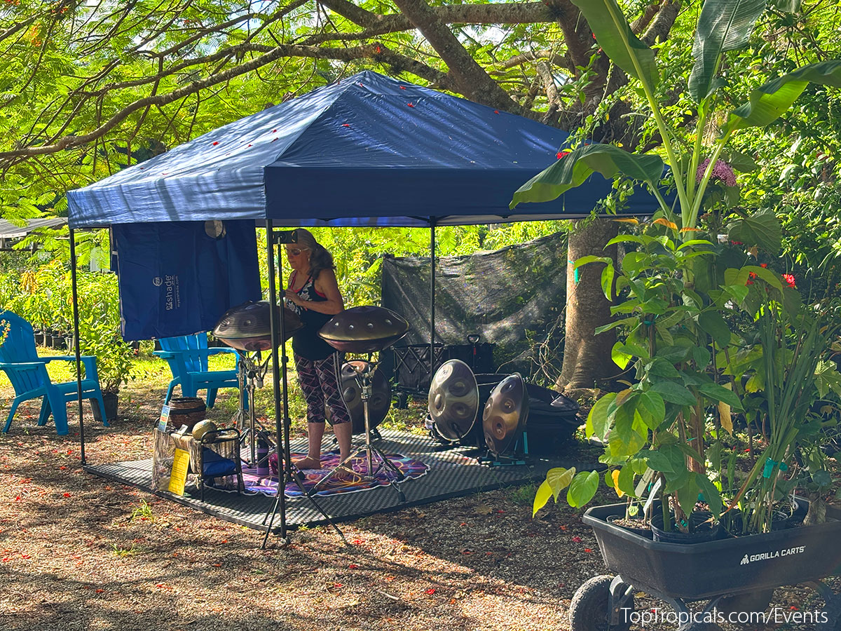Pan Lady playing music at Top Tropicals Fathers Day Plant Market on June 14, 2025