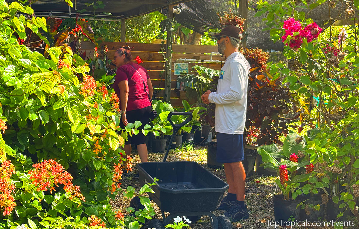 Customers browsing live plants Top Tropicals Fathers Day Plant Market on June 14, 2025