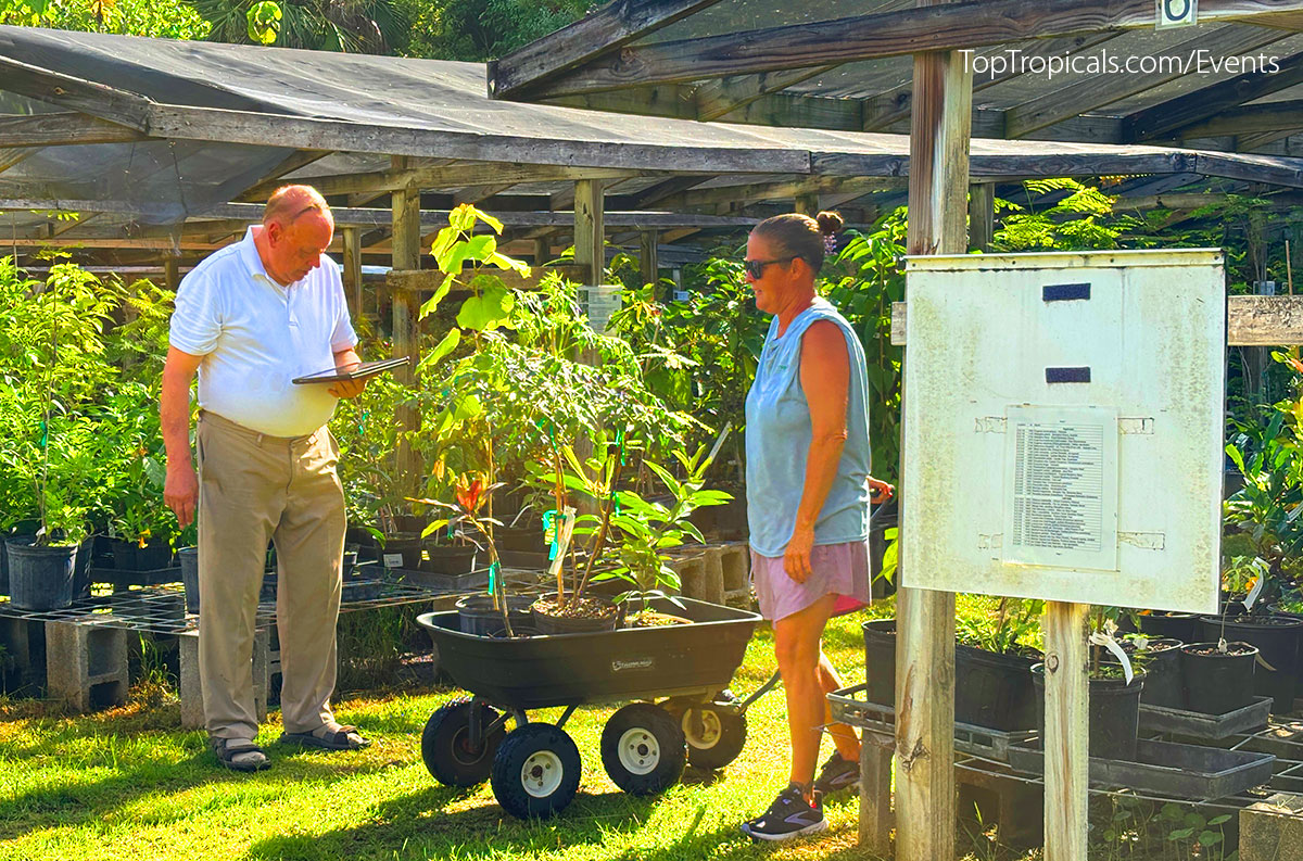 Customers at Top Tropicals Fathers Day Plant Market on June 14, 2025
