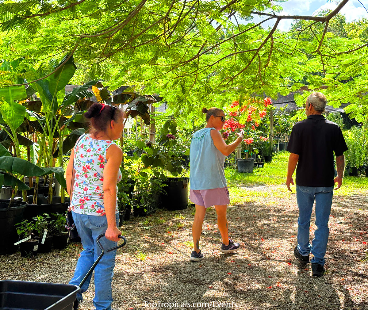 Employee talking to walking customers at Top Tropicals Fathers Day Plant Market