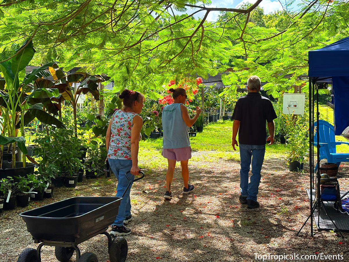 Walking customers and employee at Top Tropicals Fathers Day Plant Market