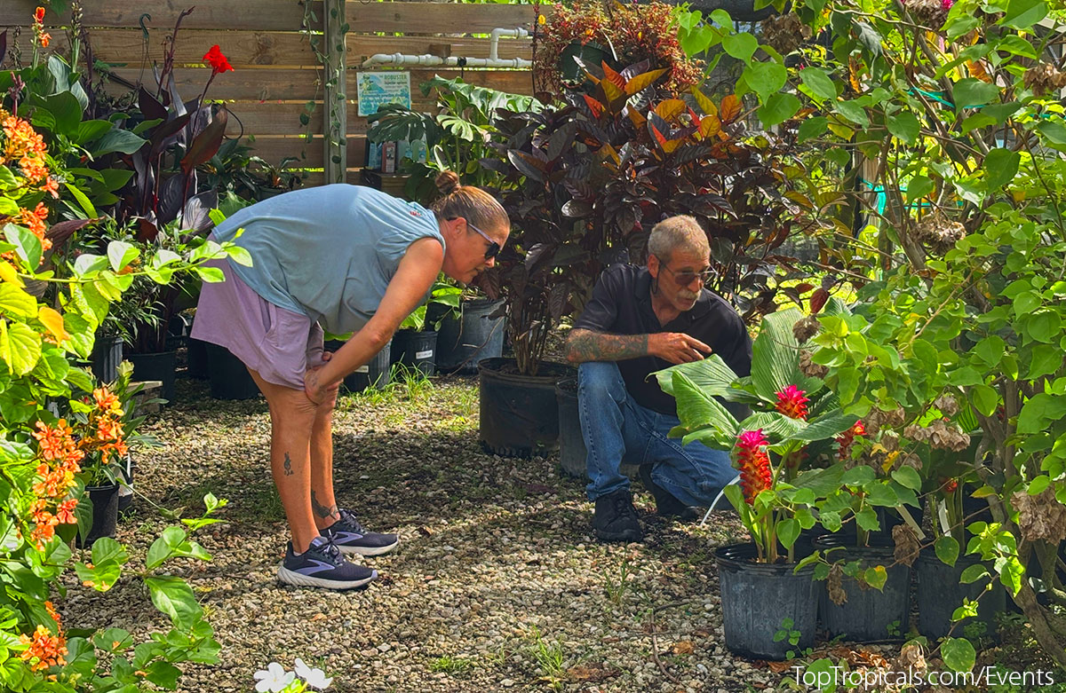 Plant specialist talking to customert at Top Tropicals Fathers Day Plant Market