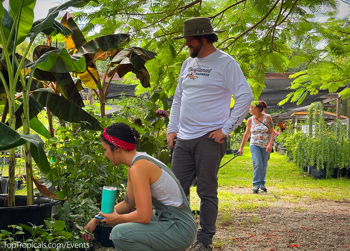 Customers looking at banana plants Top Tropicals Fathers Day Plant Market