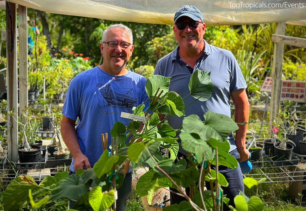 Customers holding Stictocardia plants at Top Tropicals Fathers Day Plant Market on June 14, 2025