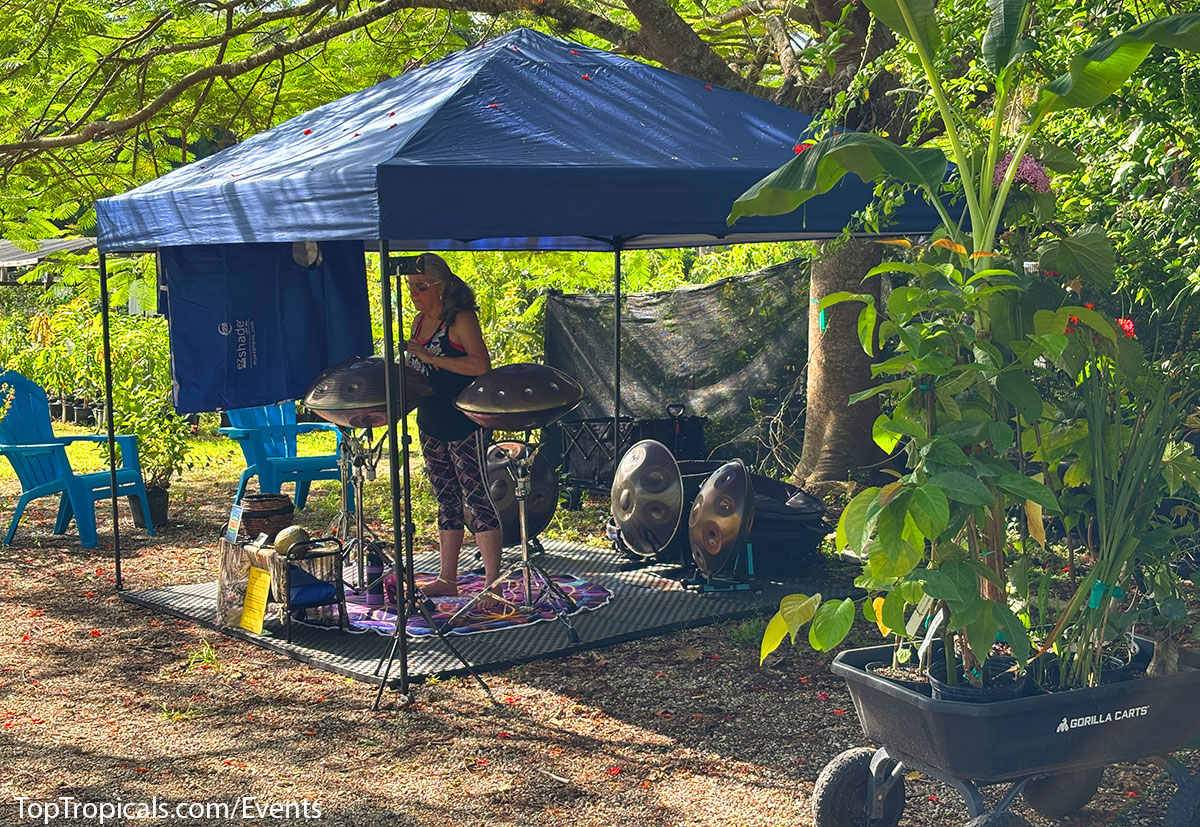 Pan Lady playing music at Top Tropicals Fathers Day Plant Market