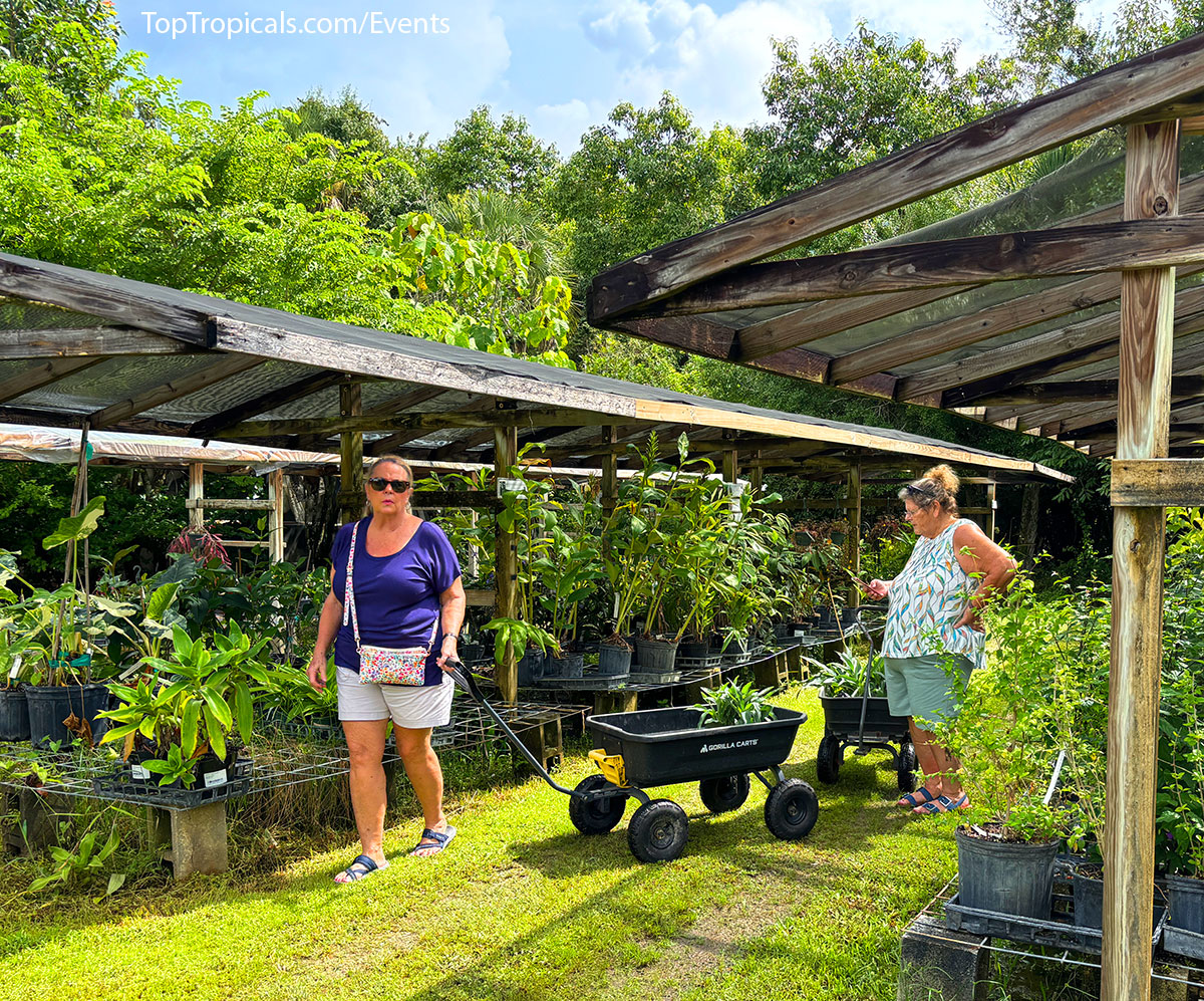 Plant Market on September 6, 2025