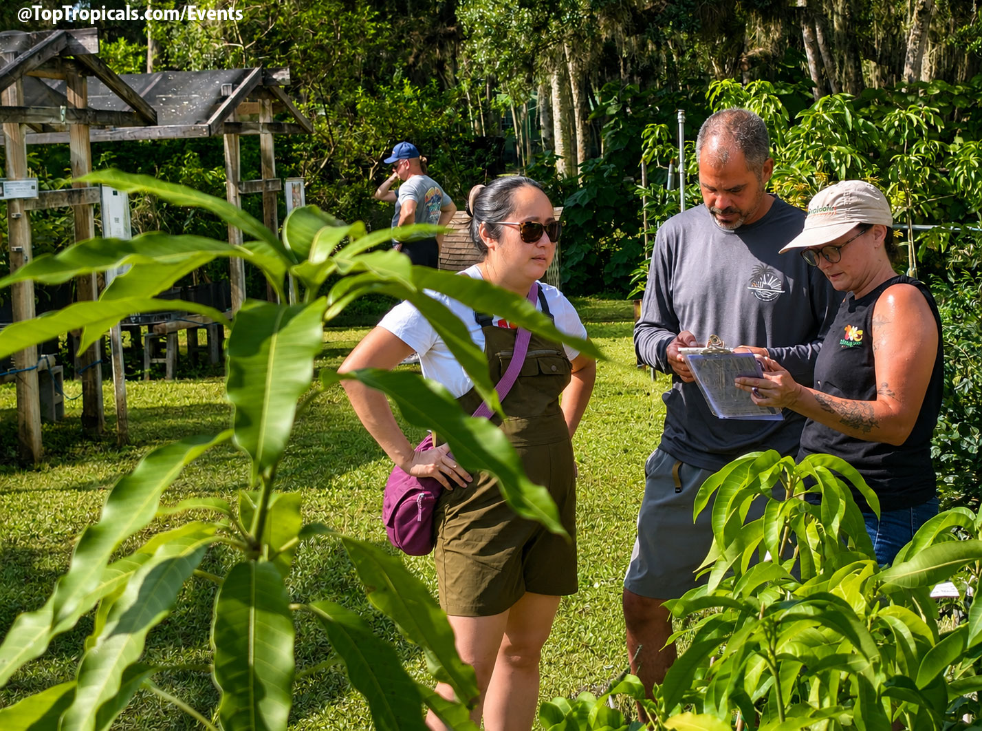 Summer Solstice Plant Market and Father's Day at Top Tropicals on June 20, 2026 Summer Solstice Plant Market and Father's Day at Top Tropicals on June 20, 2026