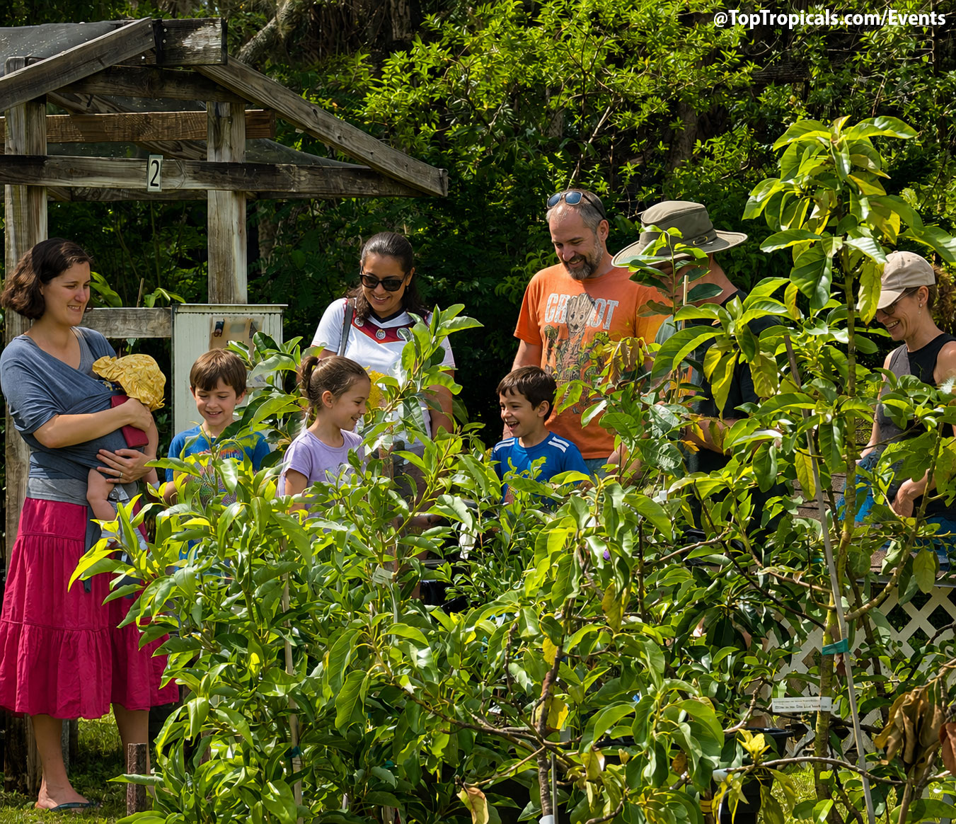 Summer Solstice Plant Market and Father's Day at Top Tropicals on June 20, 2026 Summer Solstice Plant Market and Father's Day at Top Tropicals on June 20, 2026