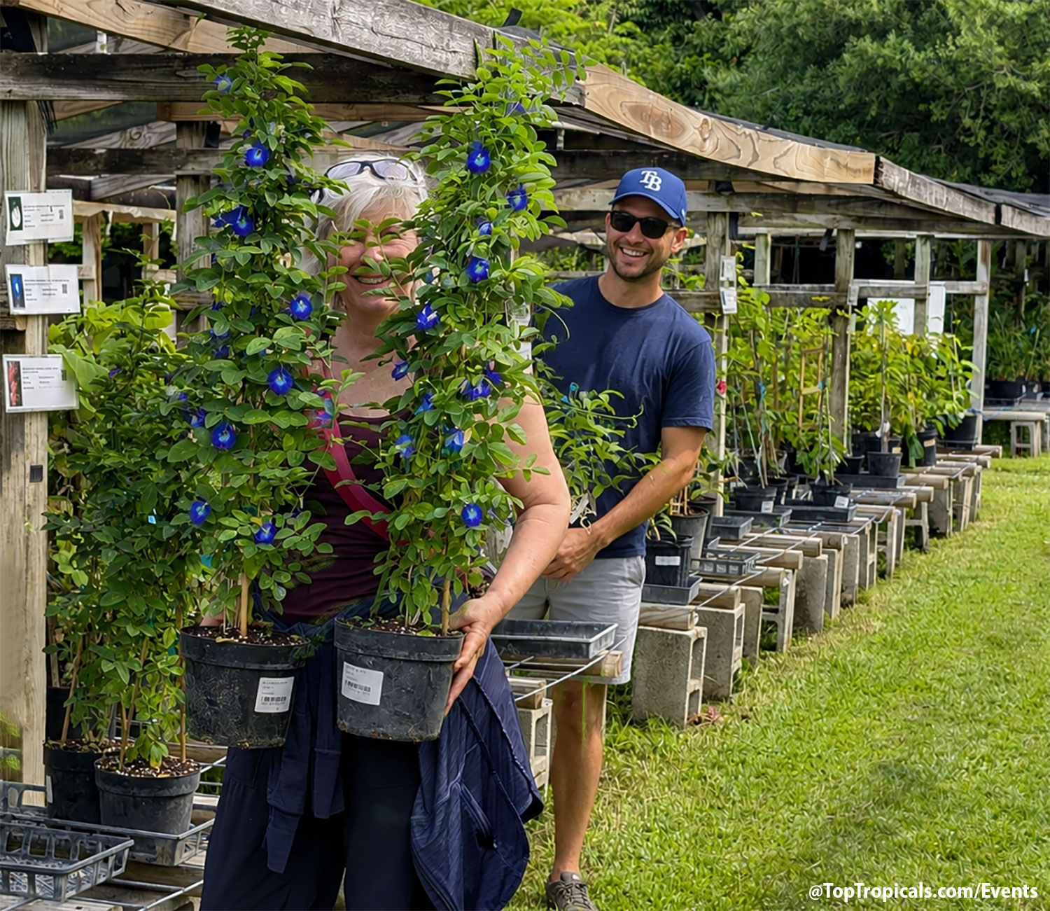 Summer Solstice Plant Market and Father's Day at Top Tropicals on June 20, 2026 Summer Solstice Plant Market and Father's Day at Top Tropicals on June 20, 2026