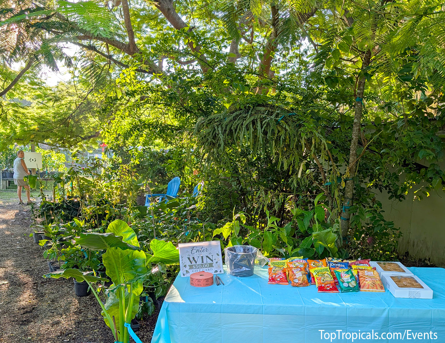 Top Tropicals Fall Planting Kickoff & Plant Market Event on September 5, 2026 Top Tropicals Fall Planting Kickoff & Plant Market Event on September 5, 2026