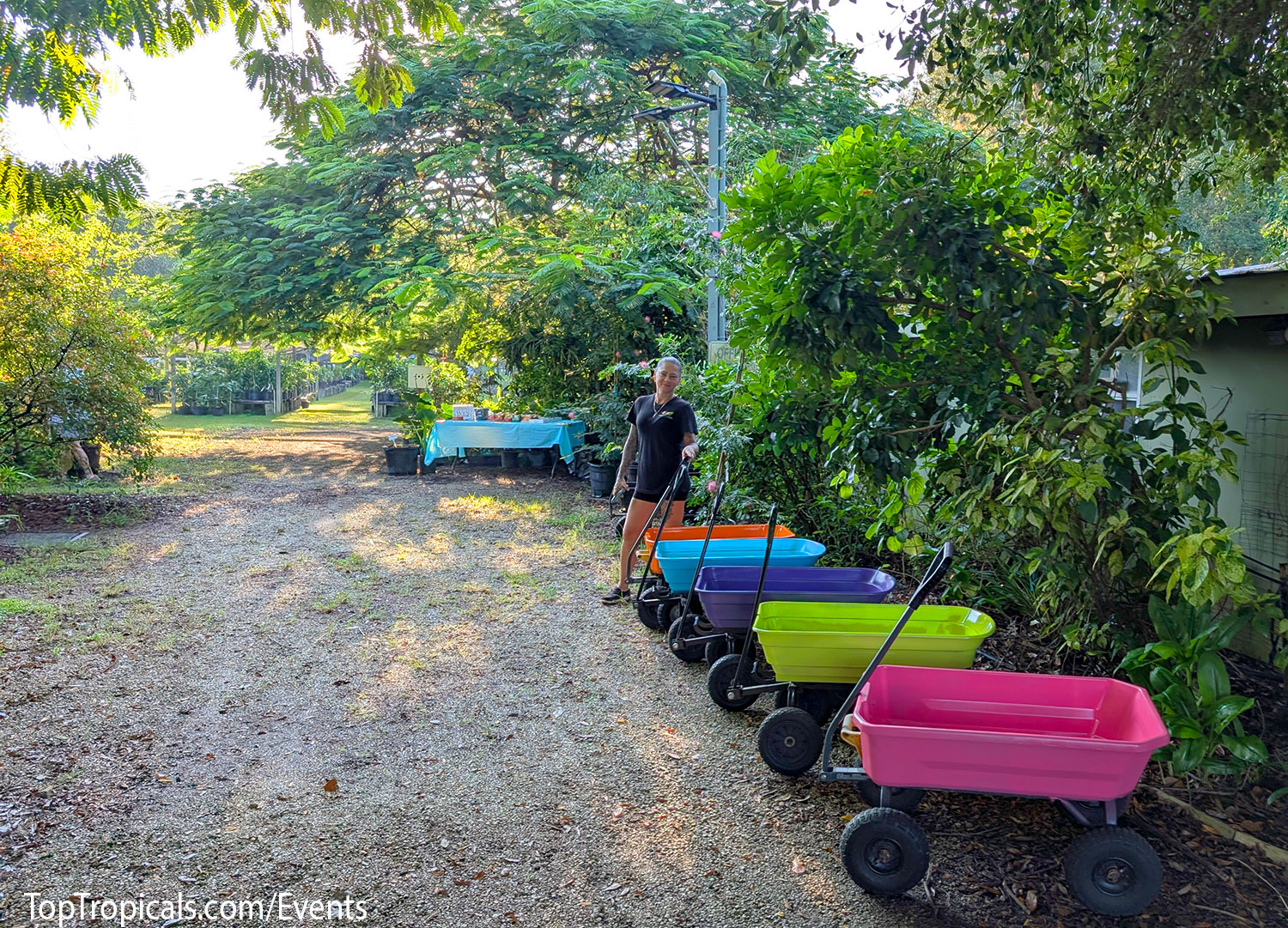 Top Tropicals Fall Planting Kickoff & Plant Market Event on September 5, 2026 Top Tropicals Fall Planting Kickoff & Plant Market Event on September 5, 2026