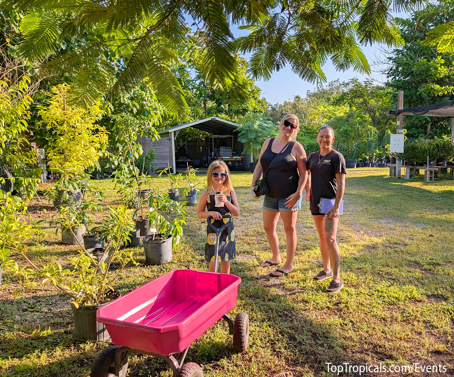 Top Tropicals Fall Planting Kickoff & Plant Market Event on September 5, 2026 Top Tropicals Fall Planting Kickoff & Plant Market Event on September 5, 2026