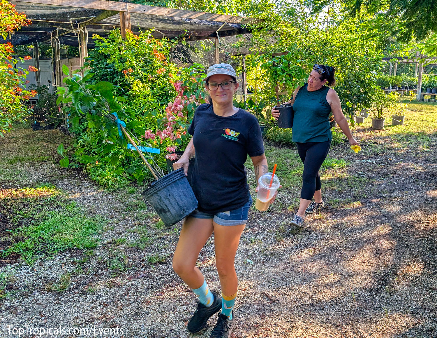 Top Tropicals Fall Planting Kickoff & Plant Market Event on September 5, 2026 Top Tropicals Fall Planting Kickoff & Plant Market Event on September 5, 2026
