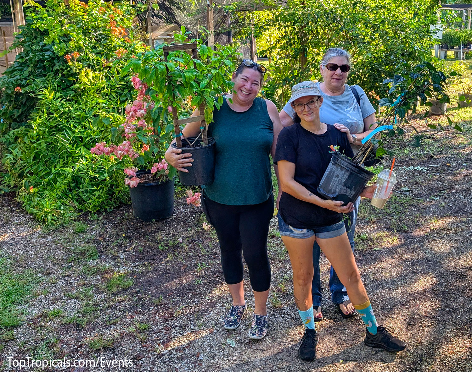 Top Tropicals Fall Planting Kickoff & Plant Market Event on September 5, 2026 Top Tropicals Fall Planting Kickoff & Plant Market Event on September 5, 2026