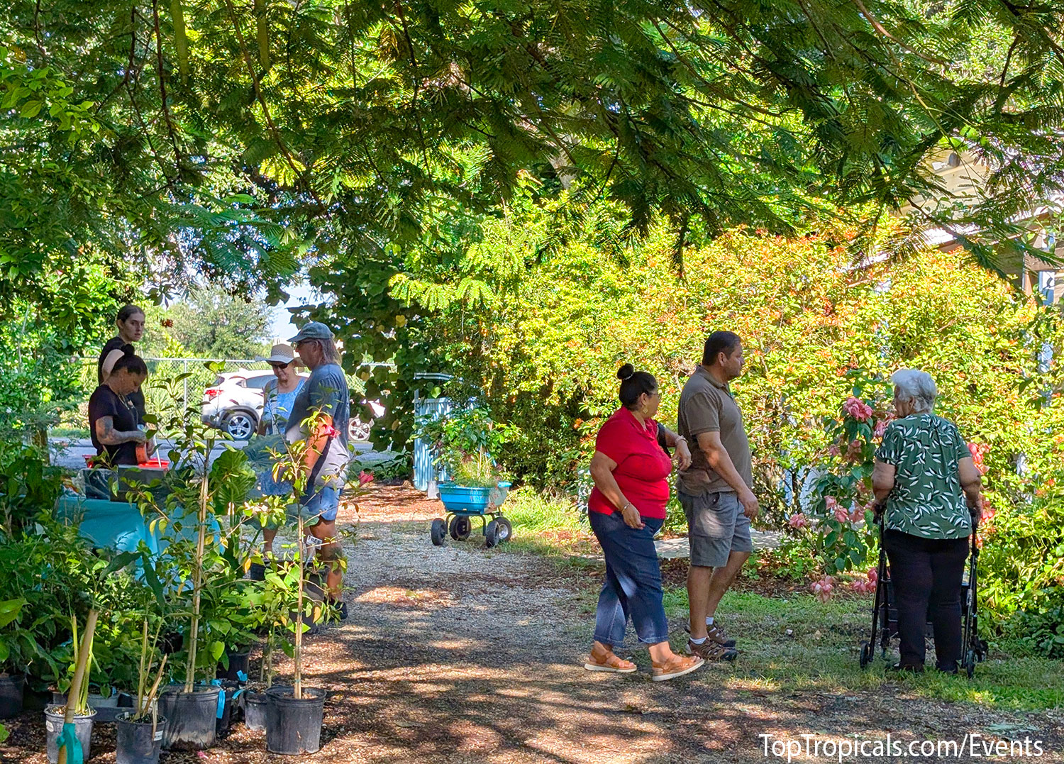 Top Tropicals Fall Planting Kickoff & Plant Market Event on September 5, 2026 Top Tropicals Fall Planting Kickoff & Plant Market Event on September 5, 2026